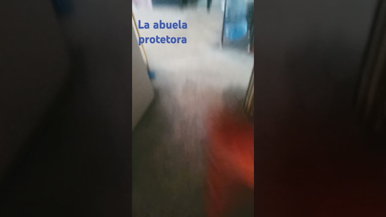 Parte 1 la abuela protectora