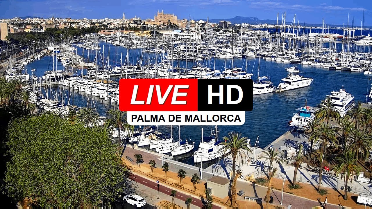 Live Webcam Palma de Mallorca ☀️ Paseo Marítimo ⛴️ Mallorca 🌎 Baleares 🅻🅸🆅🅴