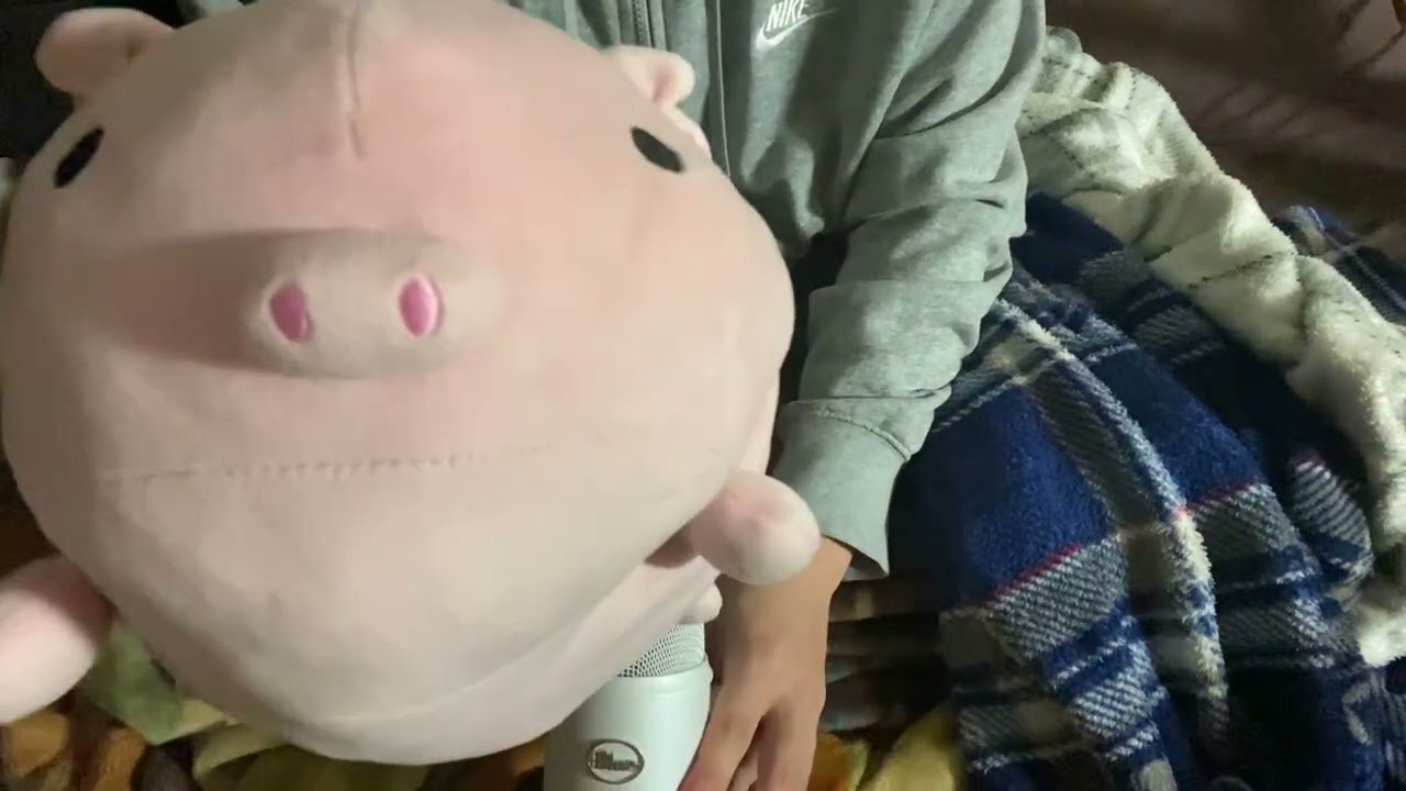 【ASMR】 bullying a pig