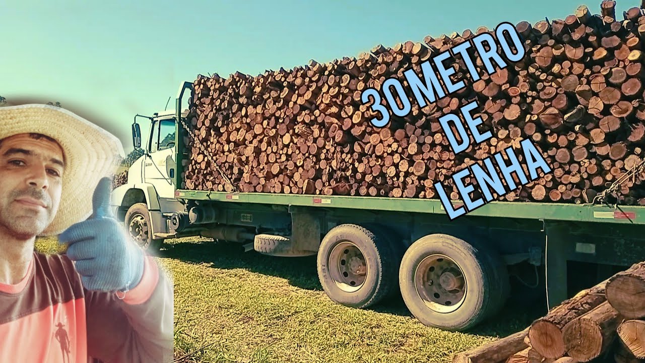 MB1620 CARREGANDO LENHA SECA🌲🌲🌲