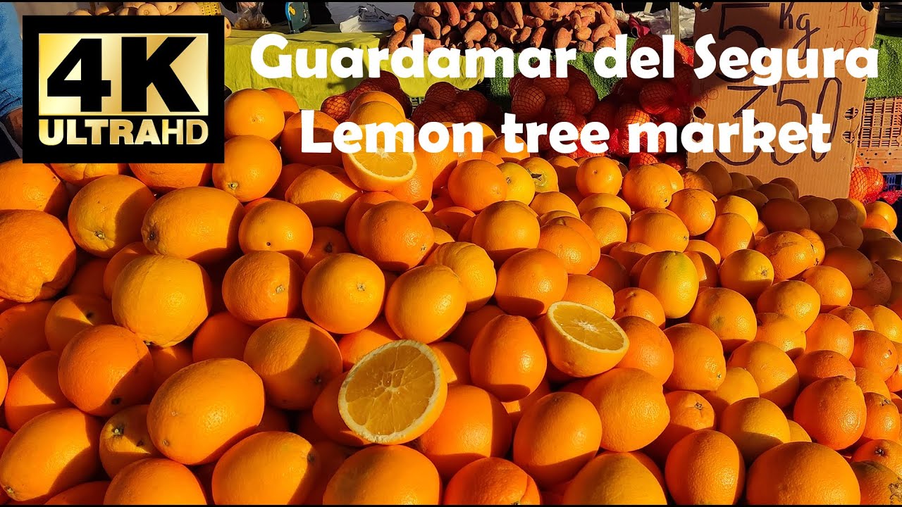 Lemon tree Market Guardamar del Segura