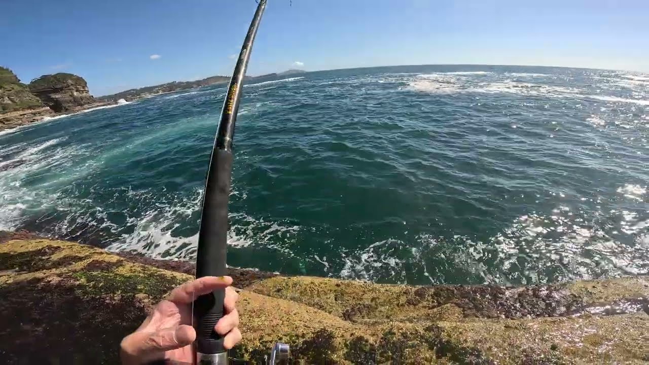 ⚡ High‑Speed Spinning Fishing Fast retrieves, screaming drags, and explosive pelagic strikes