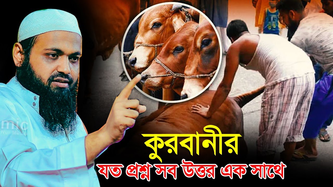 কুরবানী নিয়ে যত প্রশ্ন সব উত্তর এক সাথে || মুফতি আরিফ বিন হাবিব || Mufti Arif Bin Habib Waz