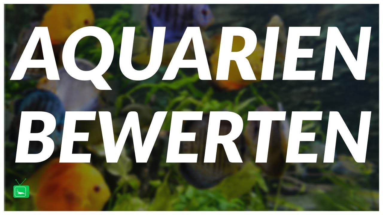 AQUARIEN BEWERTEN | Letzte Aquarien | GarnelenTv