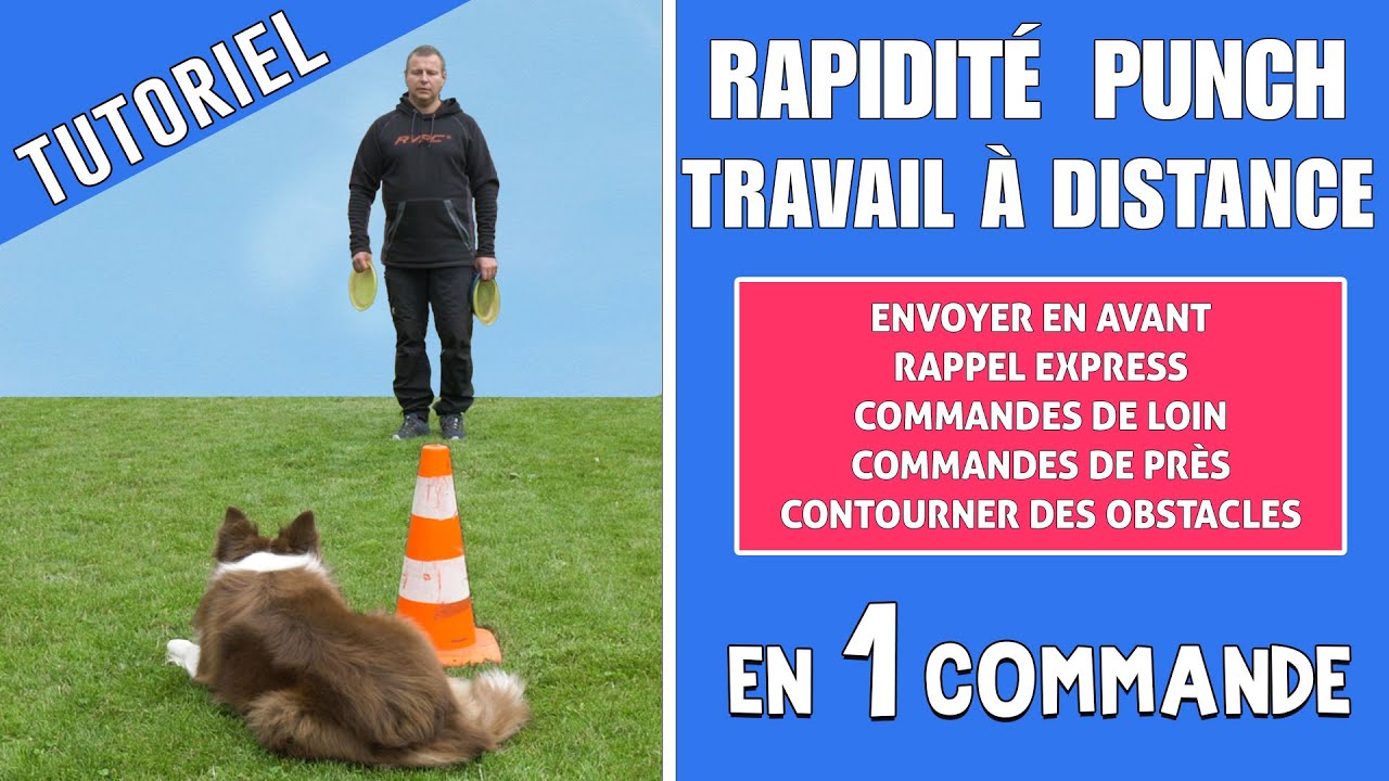 ENVOYER son CHIEN à DISTANCE