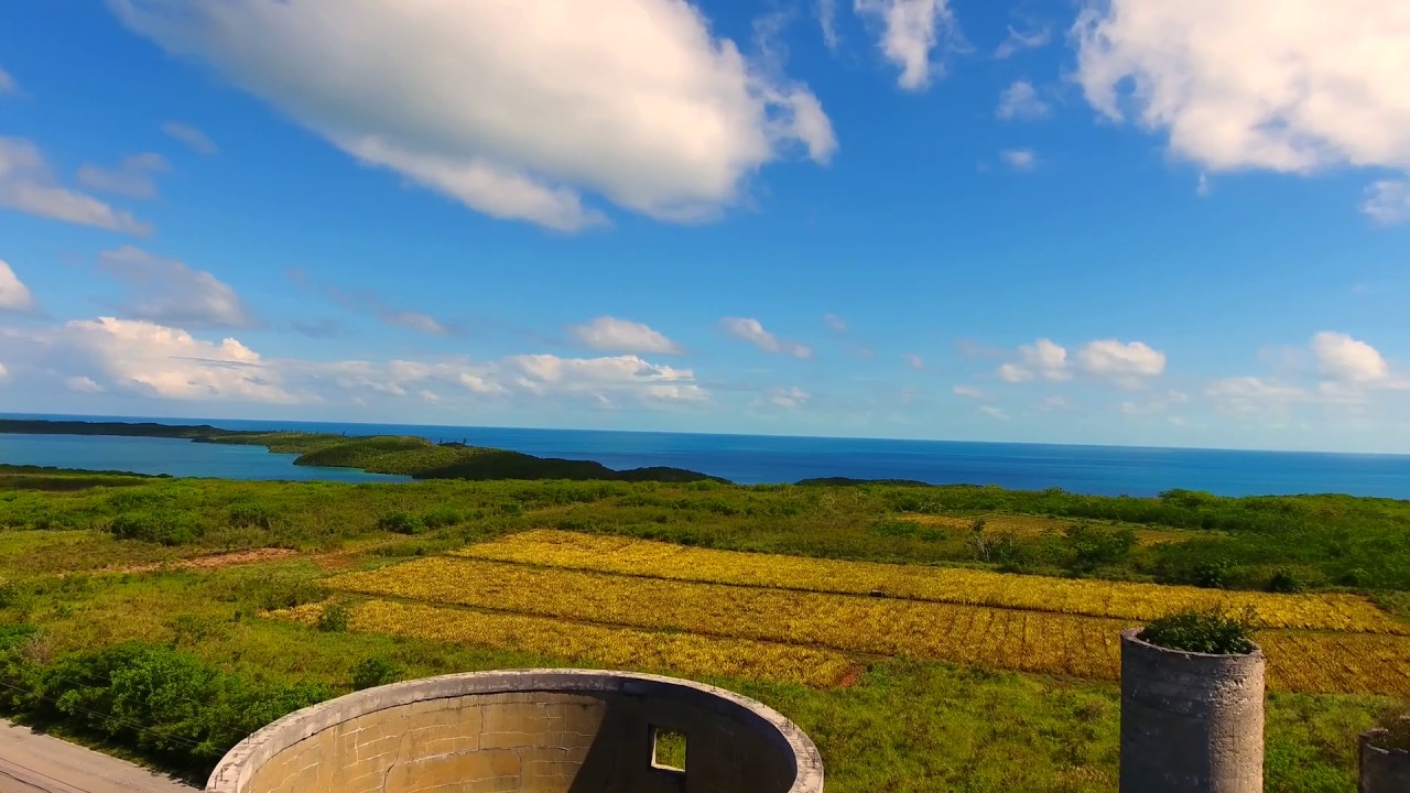 Pineapple Fields of Eleuthera, Bahamas