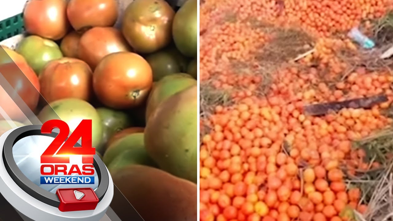 Sangkaterbang kamatis, itinapon dahil bagsak-presyo at kakaunti ang bumibili | 24 Oras Weekend