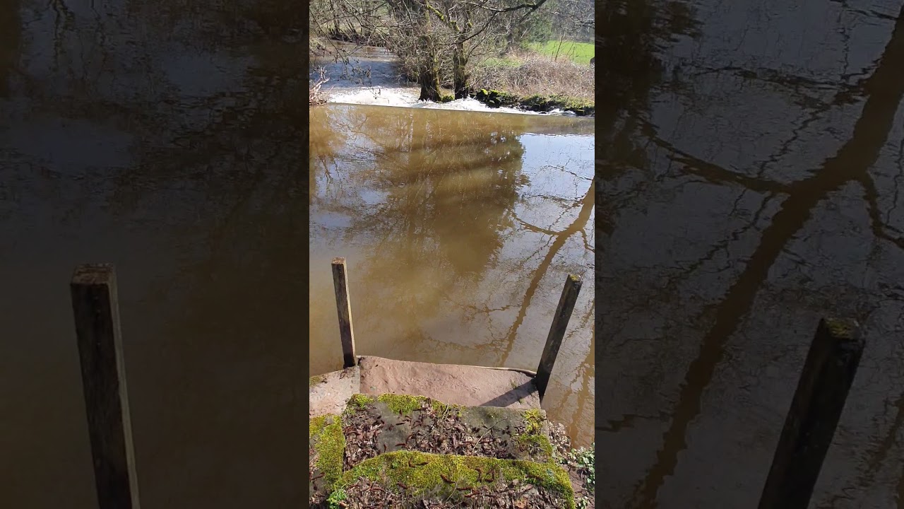 Altenglan March 2020