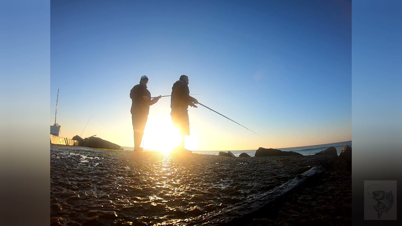 Pejerreyes escardones!!! Adelanto!!! Imperdible! #pejerreyes #escardones #matungos