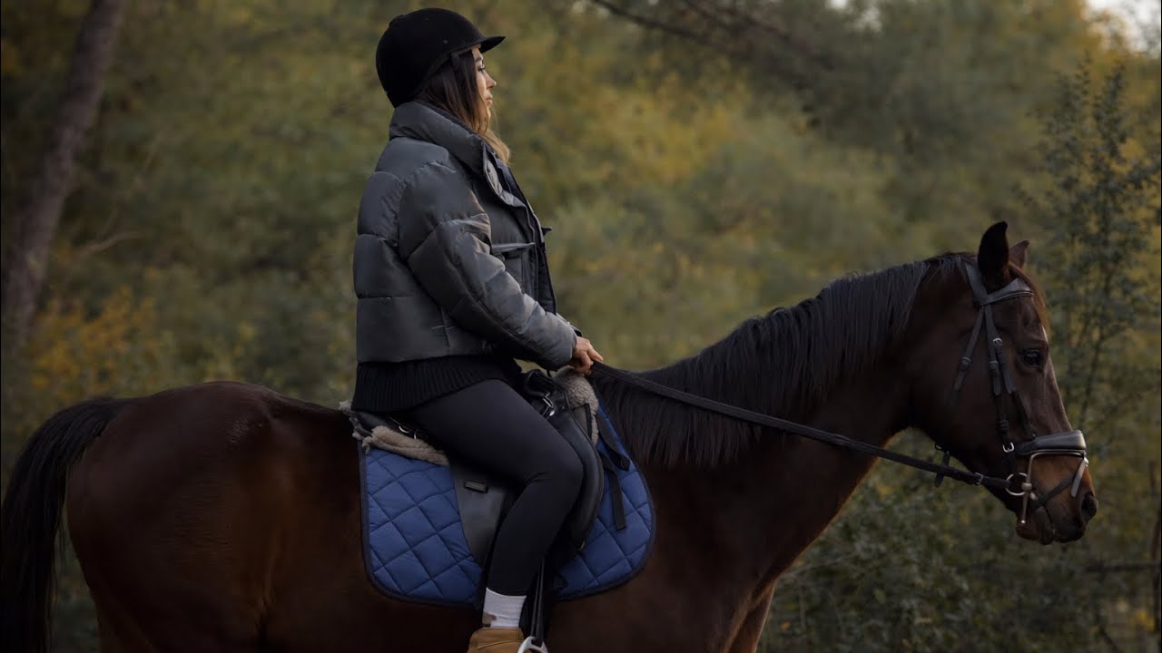 Guided Horseback Riding Experience | 4K