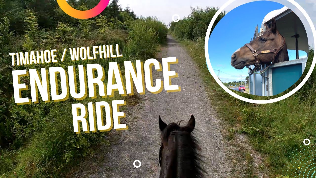 Timahoe / Wolfhill Endurance Ride
