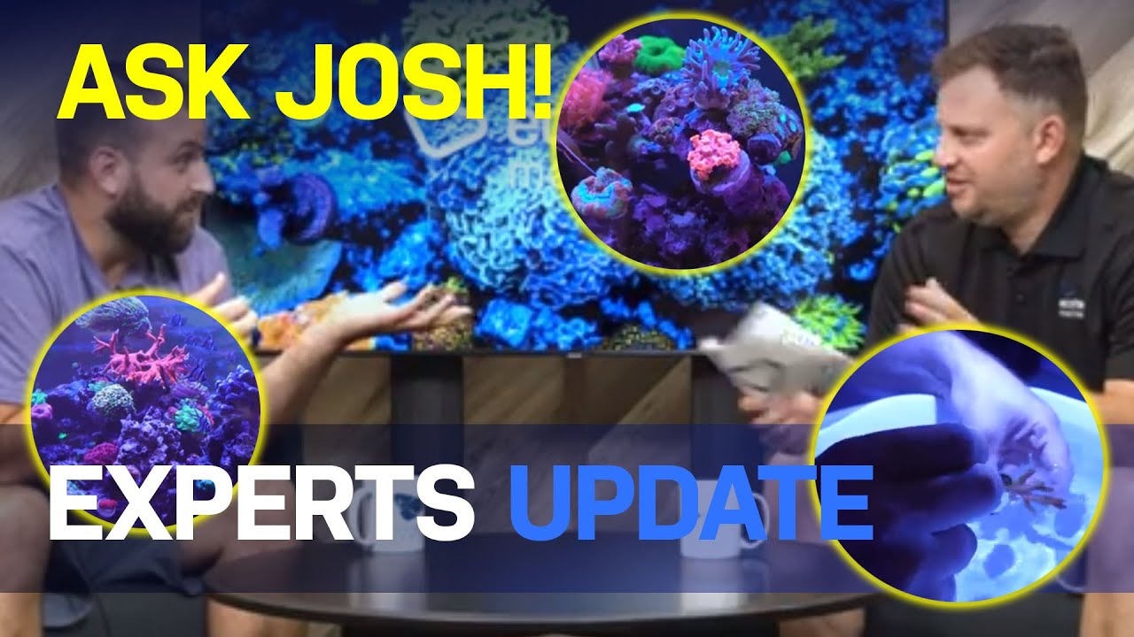 Questions for Josh WWC Round 2