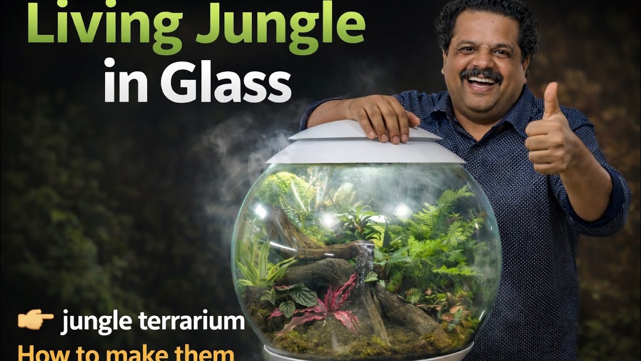 Automatic Terrarium Jungle 🌿 | Self Sustaining Rainforest Ecosystem for Fish & Aquariums