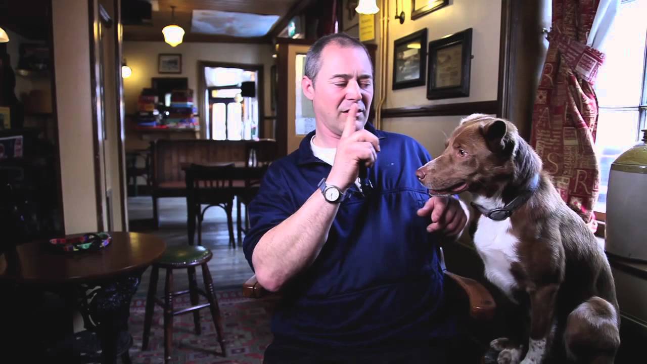 Rude Tube VI: Animal Anarchy - Amazing Acrobatic Dog: Extended Cut