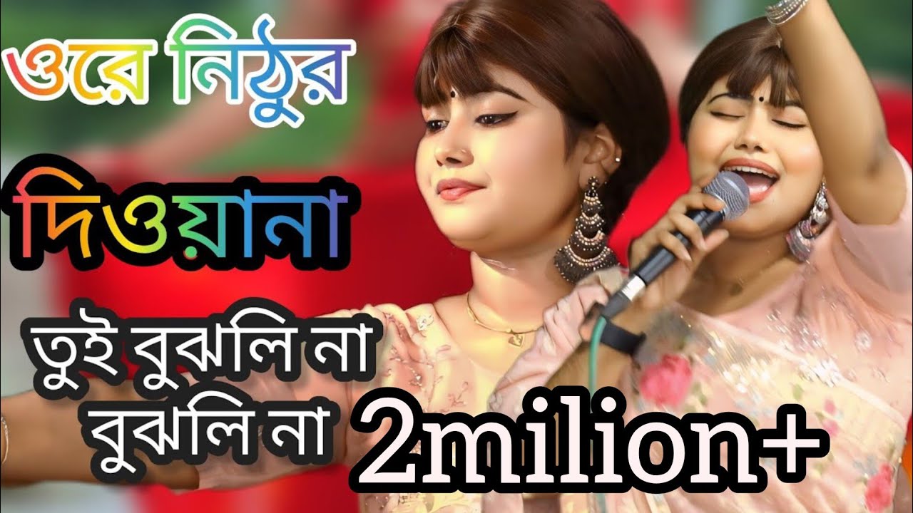 ওরে নিঠুর দিওয়ানা তুই বুঝলি না বুঝলি না🔥🌹ডিজে মুন্নি সরকার🌹