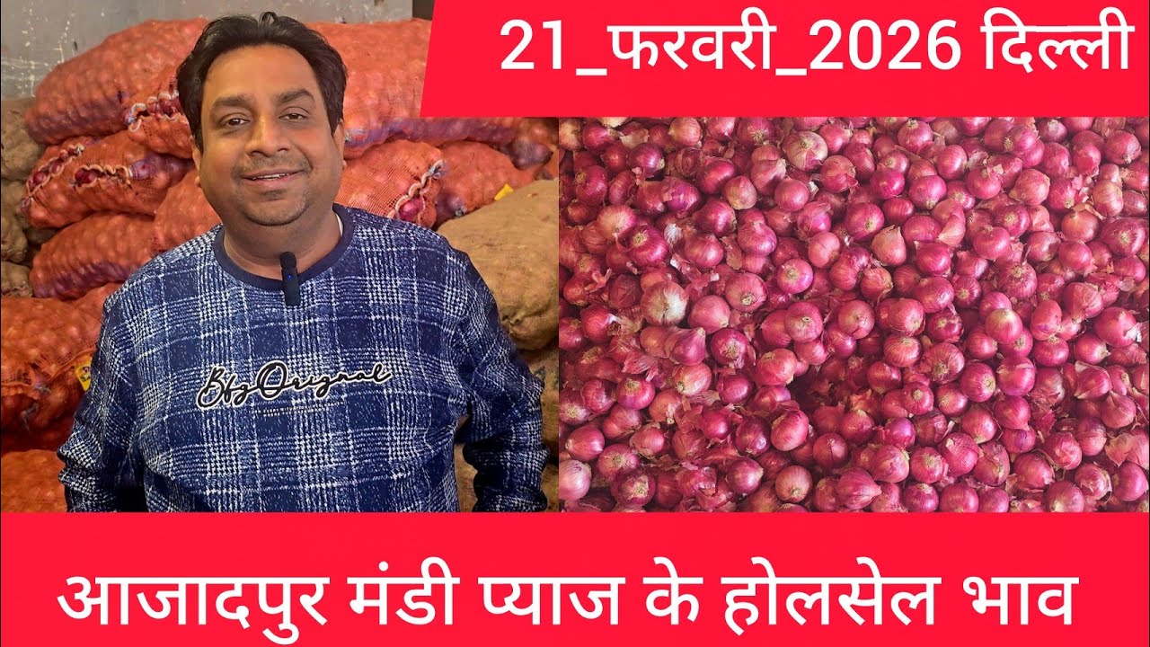 February 21, 2026 दिल्ली 🧅प्याज के होलसेल भाव azadpur delhi mandi onion market price #onionmarket