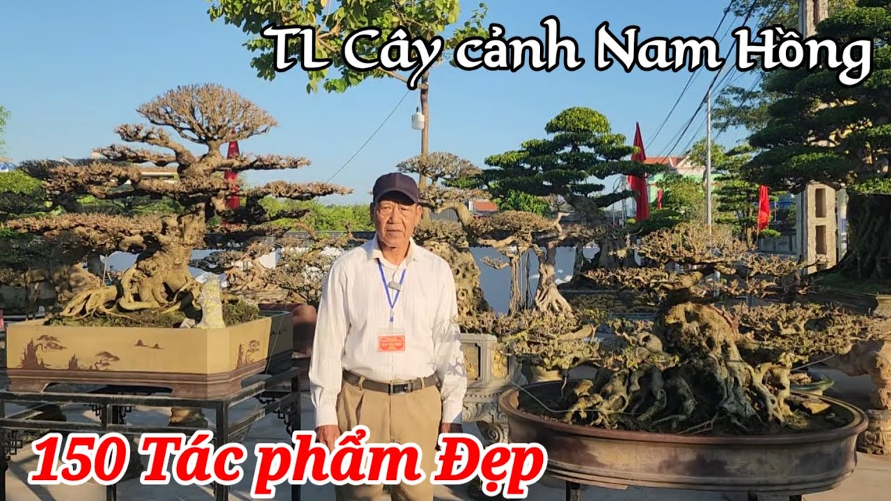 Hàng trăm TP Cây cảnh đẹp trưng bày tại TL lễ hội đền thờ trạng nguyên Nguyễn Hiền xã Nam Hồng NB 