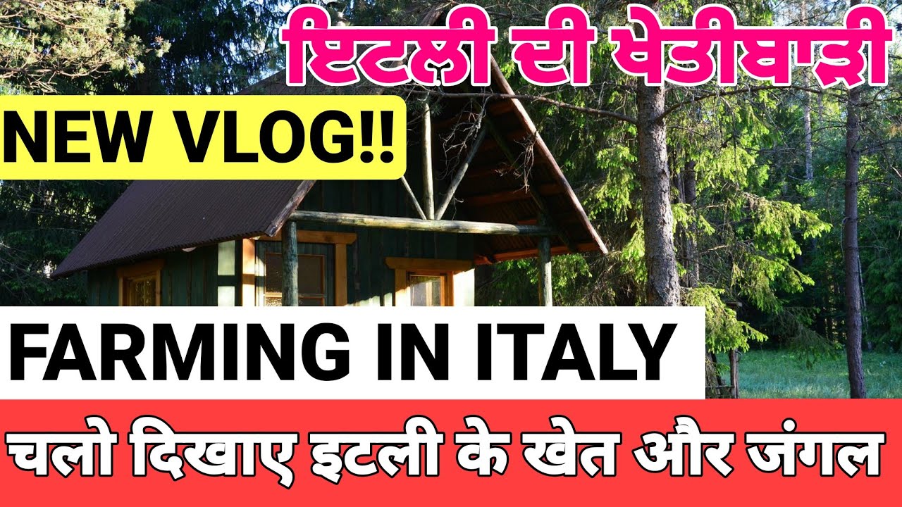 ਦੇਖੋ ਇਟਲੀ ਵਿੱਚ ਖੇਤੀਬਾੜੀ ਤੇ ਜੰਗਲ/ITALY FARMING AND FOREST VLOG