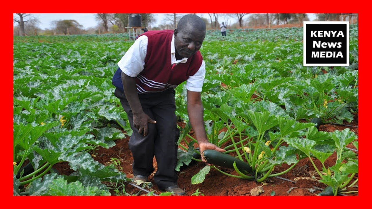 Water storage project for households in Kenya