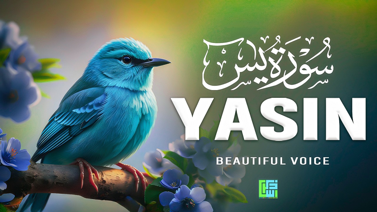 Surah Yasin (سورة يس) | Relaxing Quran Recitation to Ease the Mind #lofiquran