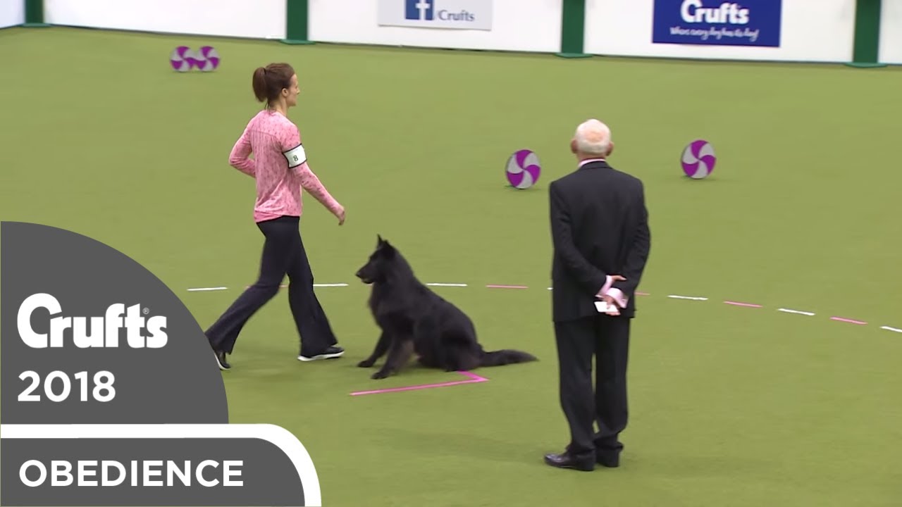 Obedience - Bitch Championship - Part 8 | Crufts 2018