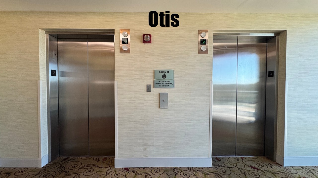 Лифты Otis Traction в отеле Hilton в Брэнсоне, штат Миссури.