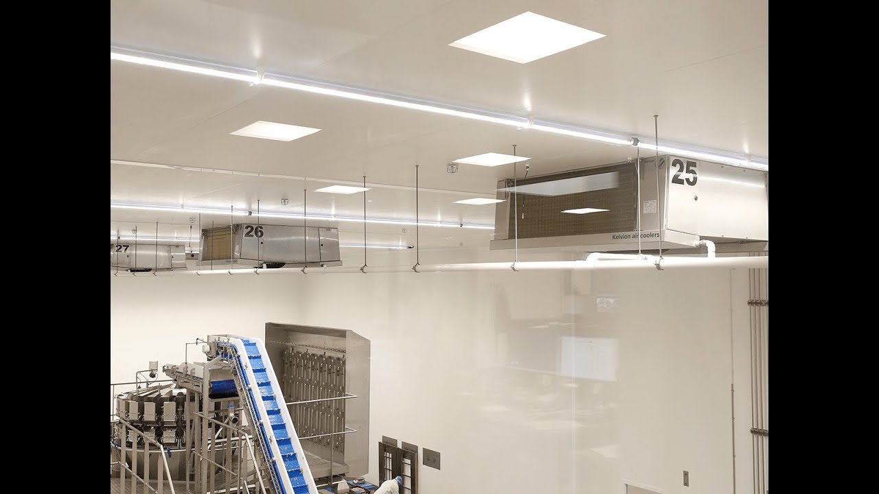 DATALUX lijnverlichting door Van Weerdenburg Elektro bij pluimveeslachterij Esbro