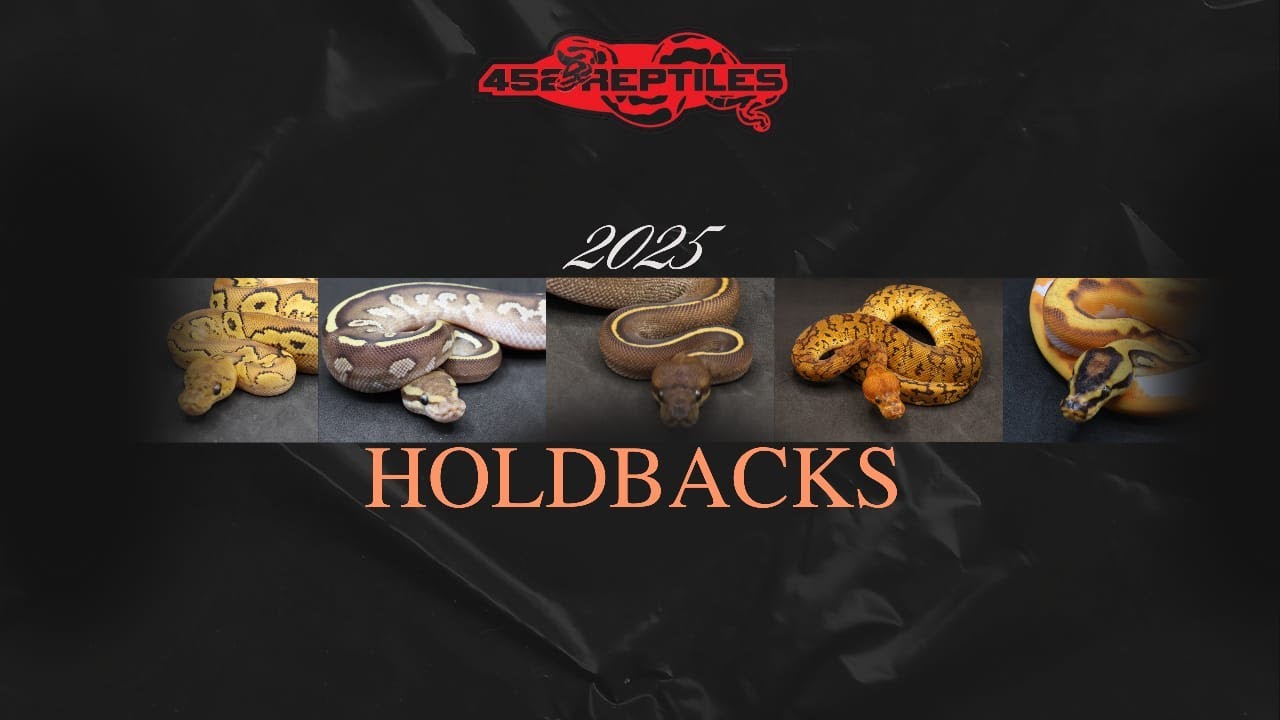 HOLDBACKS 2025