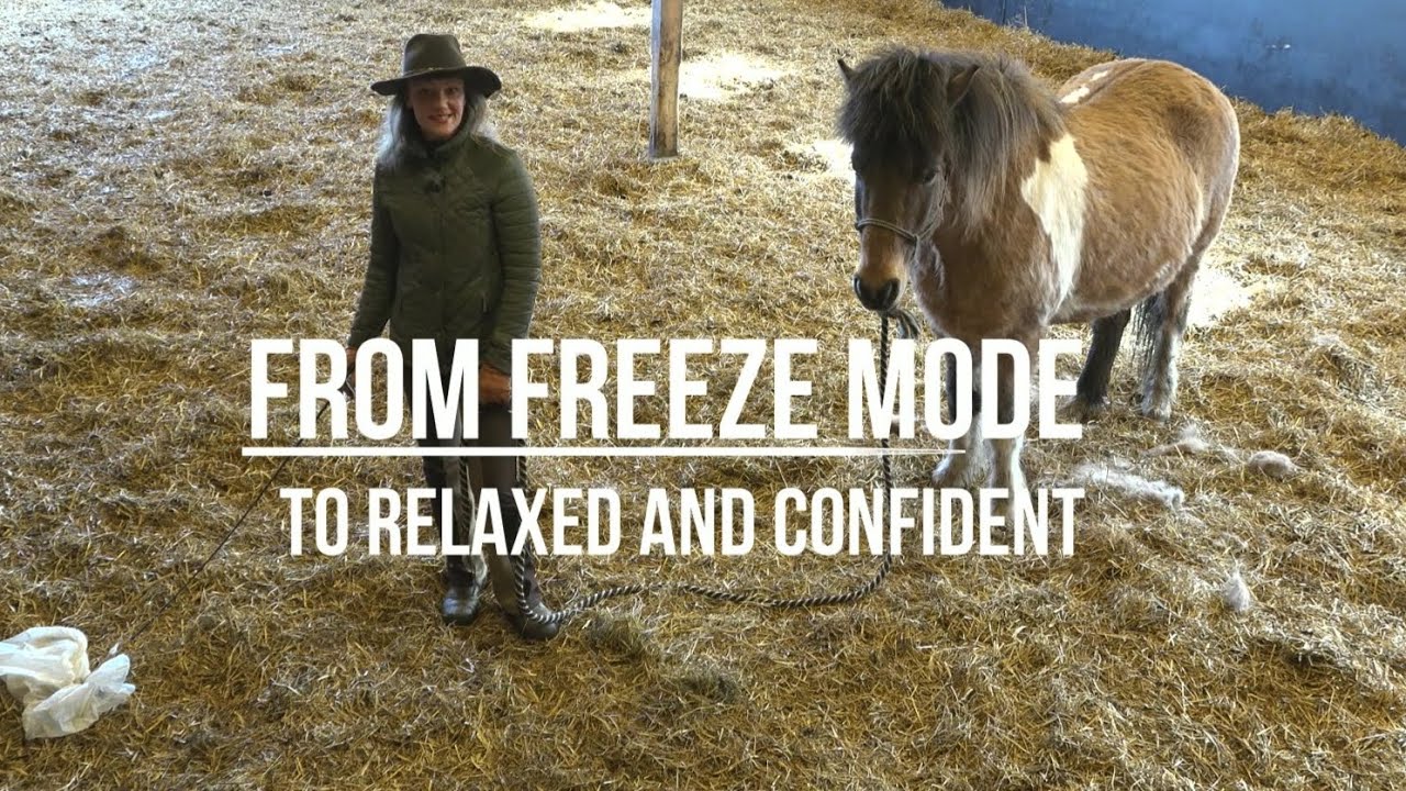 From freeze mode to relaxed and confident