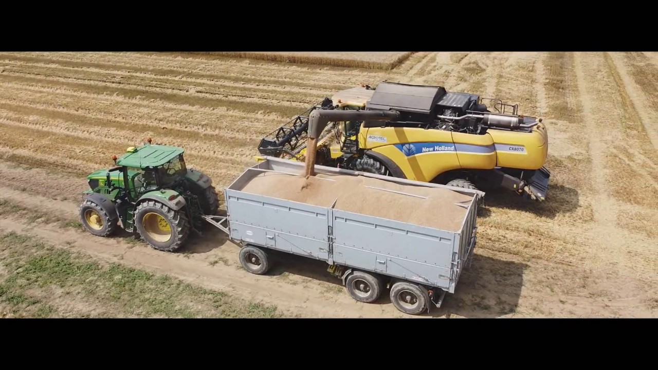Búza betakarítás 2020: New Holland CX 8070, New Holland CX 840