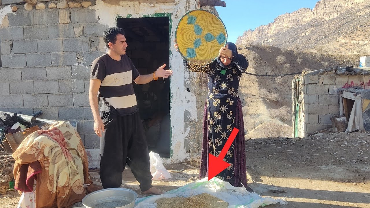 Village life: Saleh and his family cleaning wheat to make flour