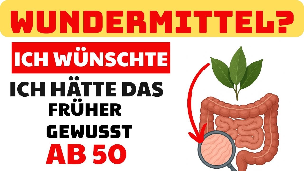 Lorbeerblätter Die unterschätzte Wunderpflanze mit unglaublicher Heilkraft!