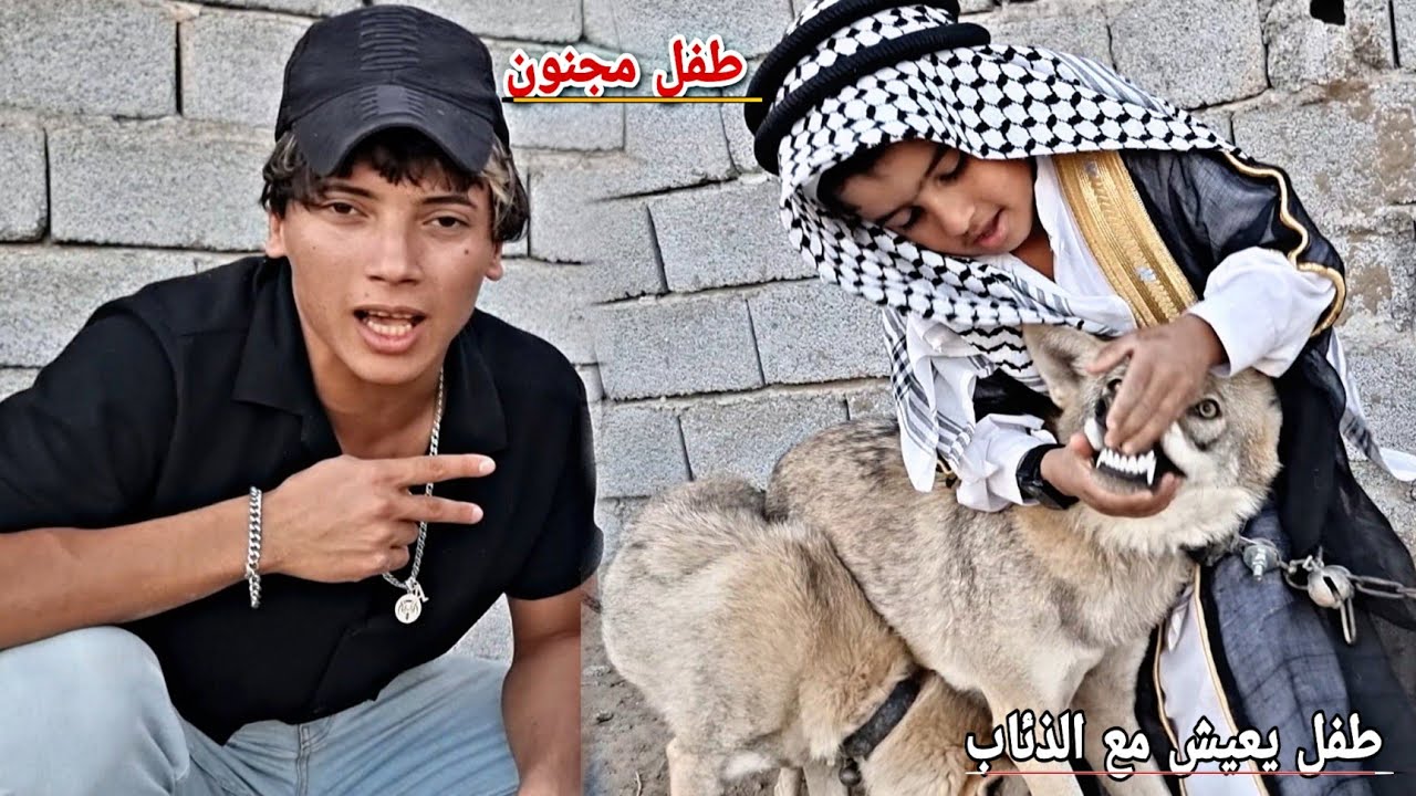 طفل عراقي مجنون يعشق تربية الذئاب_صدمني