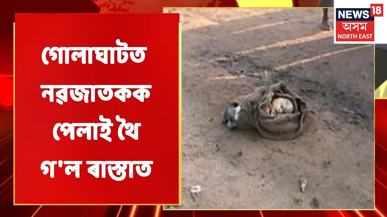 Golaghat News | গোলাঘাটৰ পুৰণা আমোলাপট্টিত কোনোৱে পেলাই থৈ গ'ল নৱজাতকক