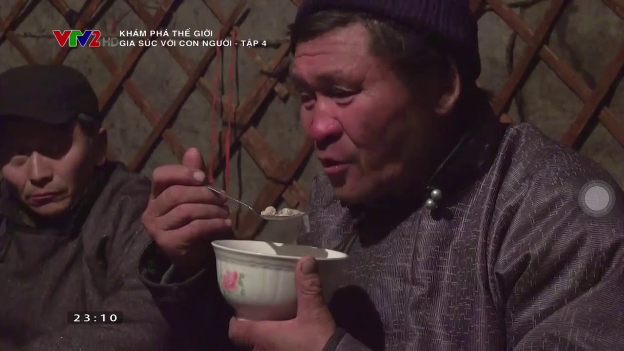 Con người v&agrave; gia s&uacute;c