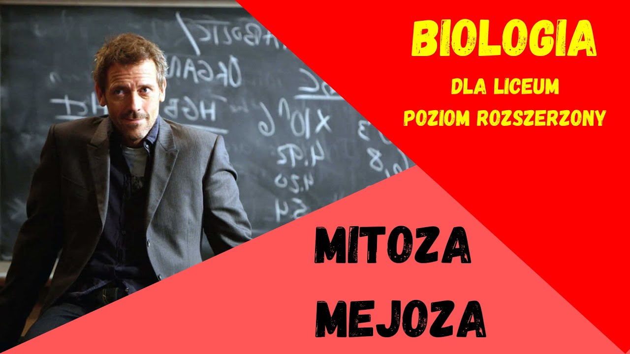 Mitoza, Mejoza, Cykl Komórkowy - Biologia Rozszerzona do Matury