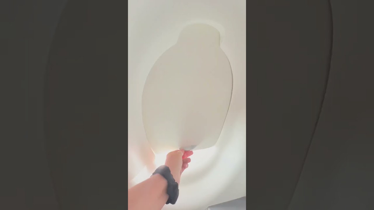 Airplane bathroom has a window? Coolest thing EVER!