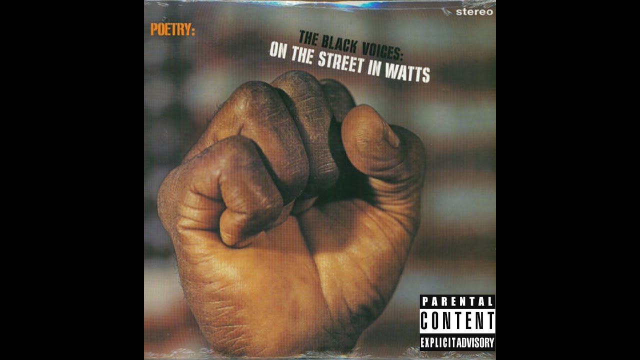 Response to a Borgeois N*gg*r™ - THE BLACK VOICES: ON THE STREET IN WATTS™ 1960's