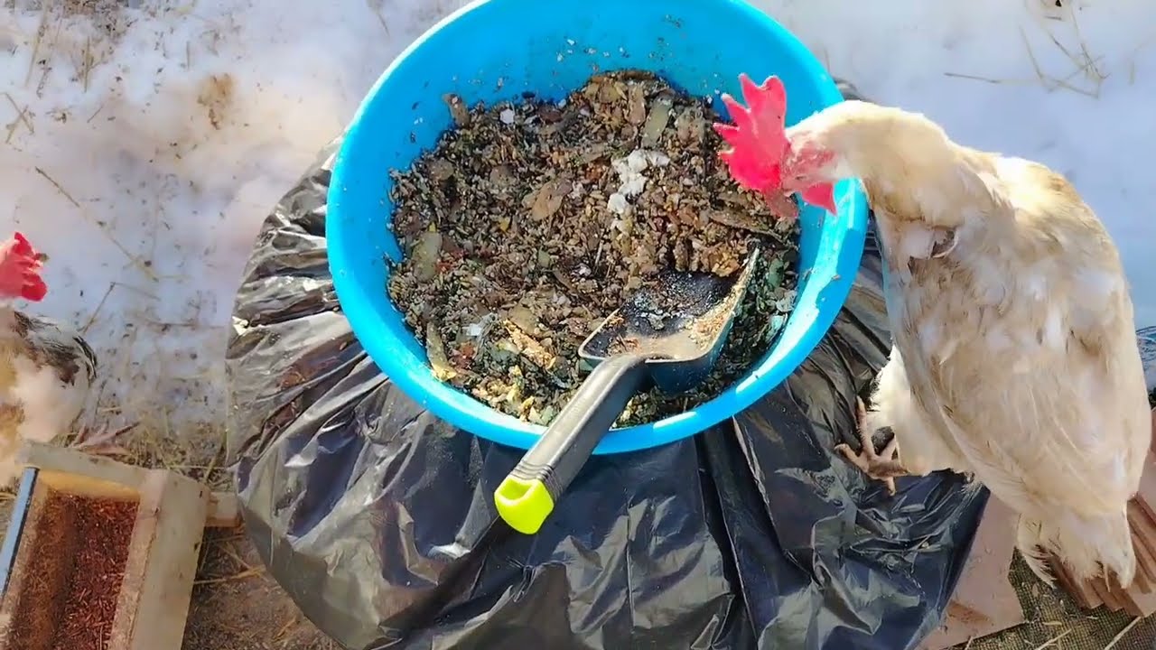 15.03.25г. МАААЛЕНЬКАЯ ЭКСКУРСИЯ. УЕХАЛИ И ЗАБЫЛА ПРО СВЕТ В КУРЯТНИКЕ. 🤦🏼‍♀️