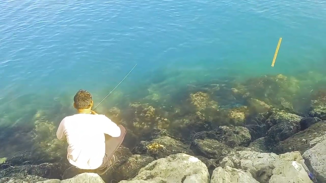 Samudra Mein Machhali pakdana