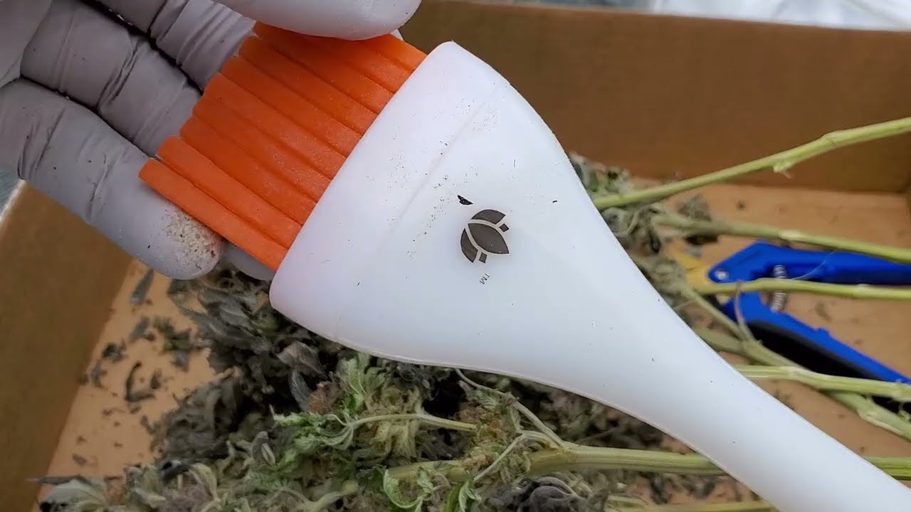 Trimming Brush-Trymowanie na sucho.Podsumowanie ścinki SE7000