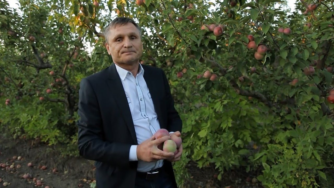 На депутатском ринге. Сергей Лупашко