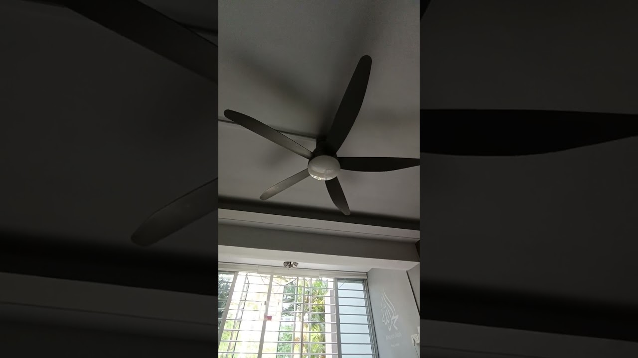 fan colletion at my house