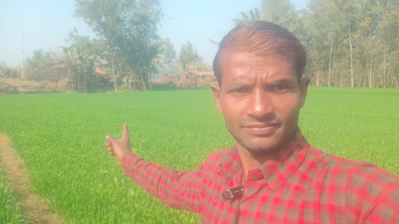 Gaon ki kheti aur hariyali 👏