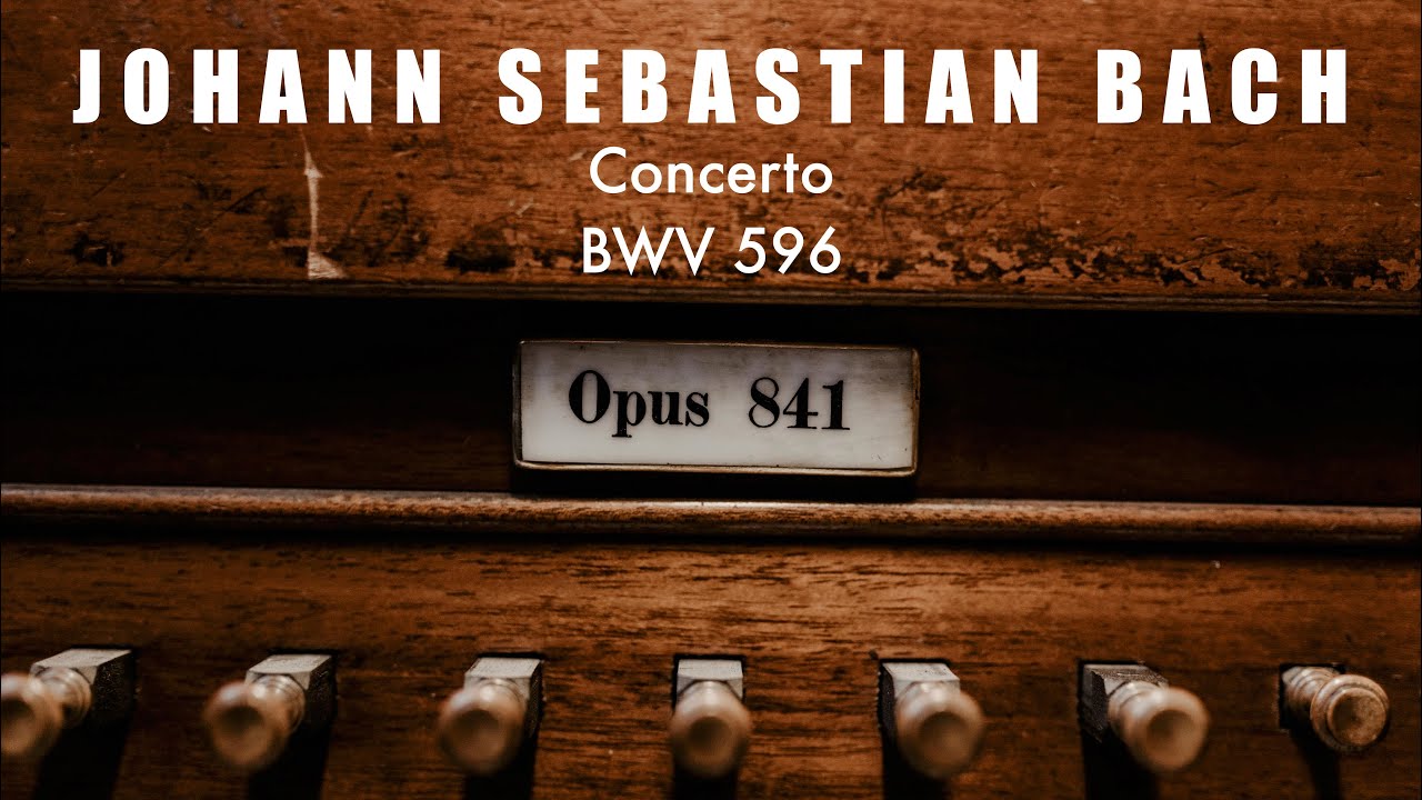 J. S. Bach - Concerto BWV 596