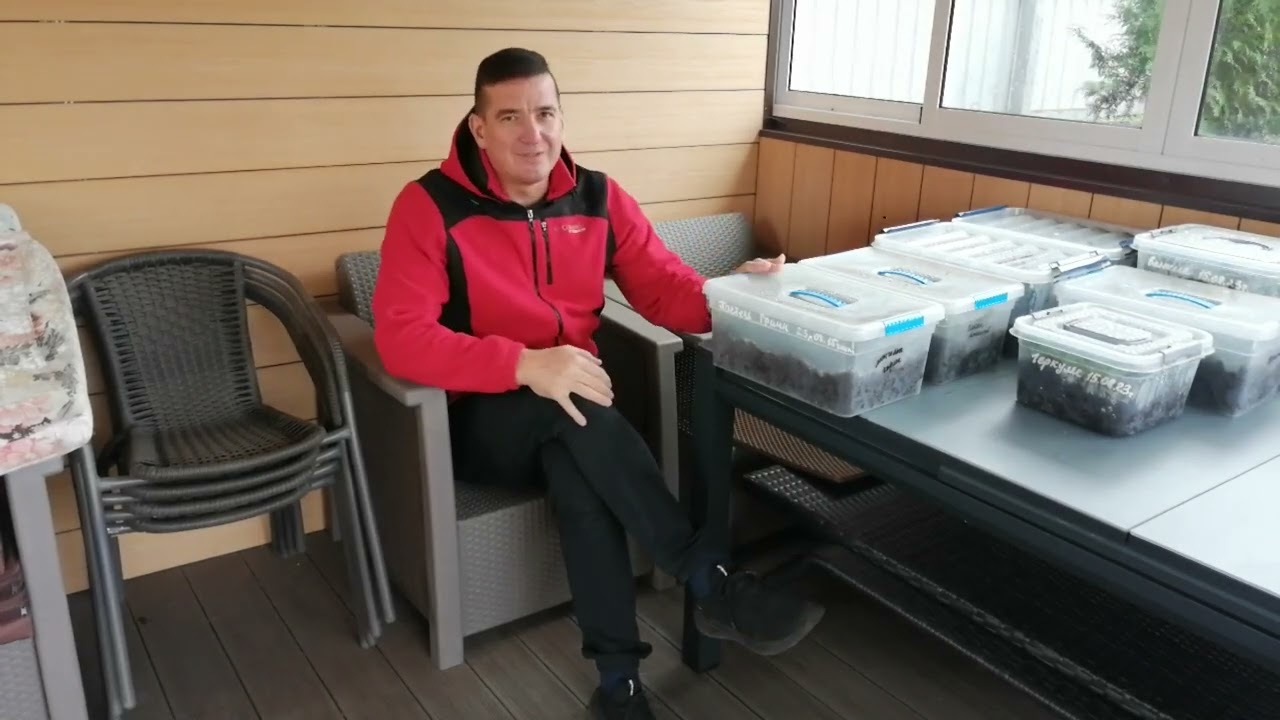ХВОЙНАЯ КОЛЛЕКЦИЯ 2023. 1серия.