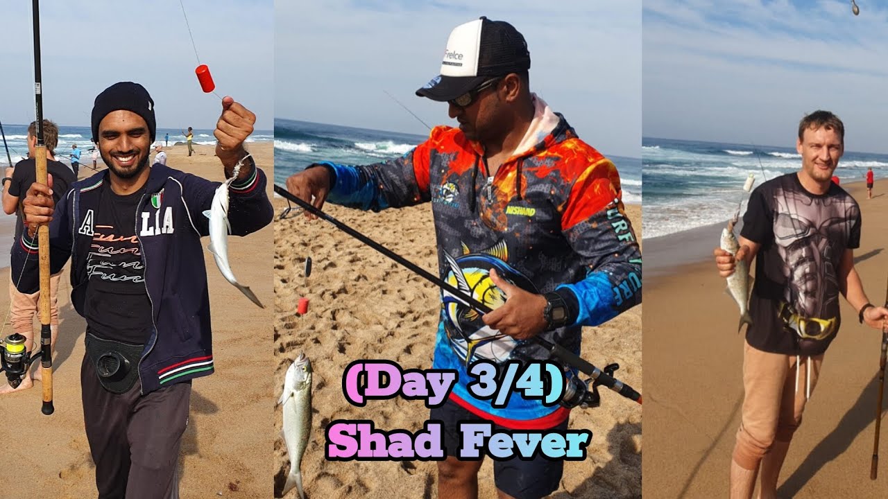 Shad Fever