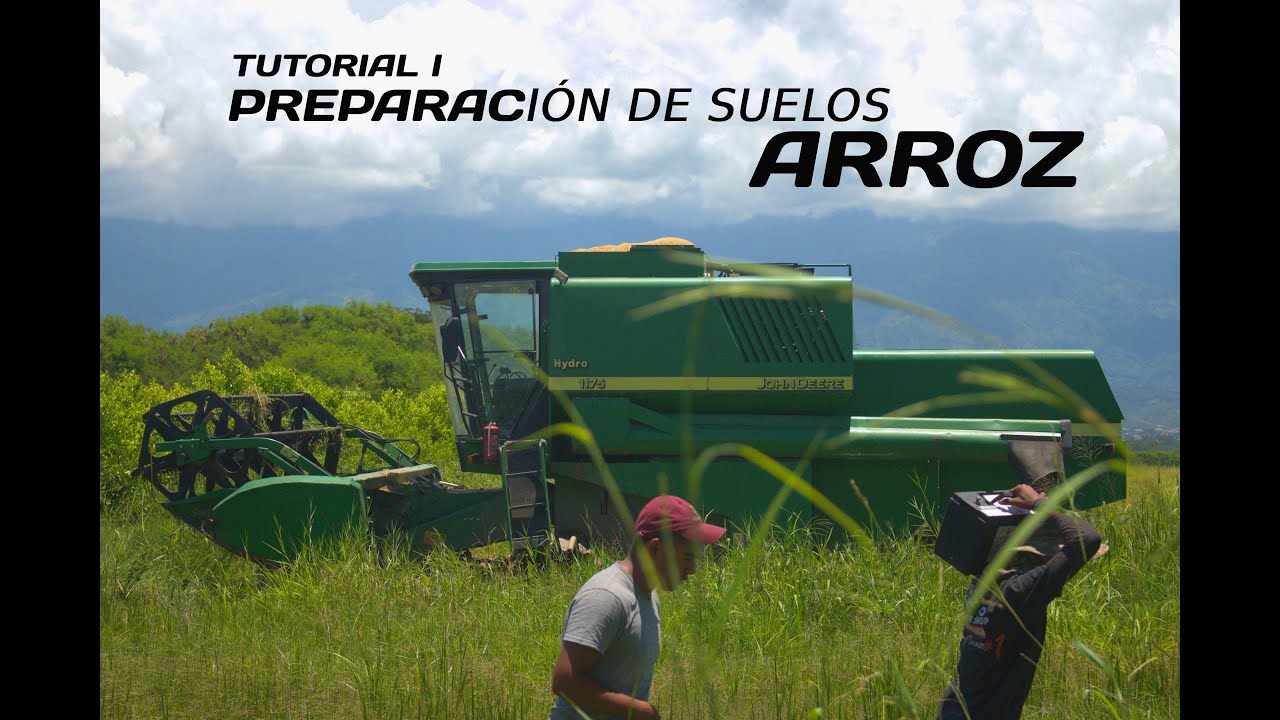 TUTORIAL: Preparación de suelos para el cultivo de arroz
