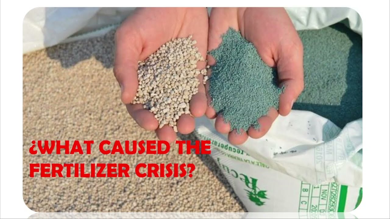 What caused the global fertilizer crisis of 2021-2022?