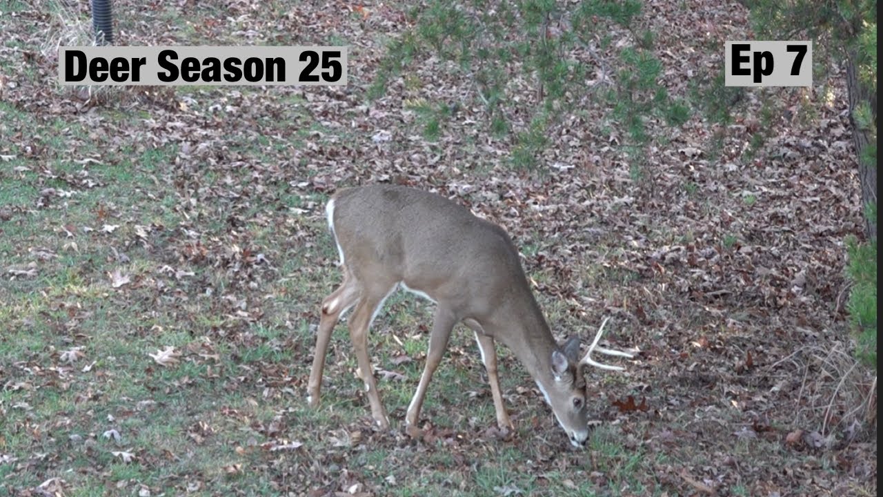 Firearm Season Continues with a Weather Front Coming. 